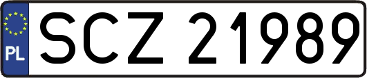 SCZ21989