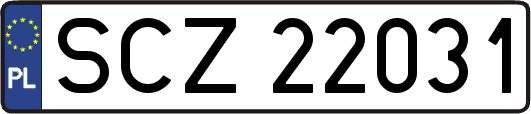 SCZ22031