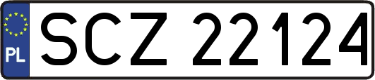 SCZ22124