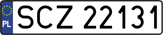 SCZ22131