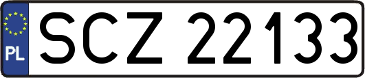 SCZ22133
