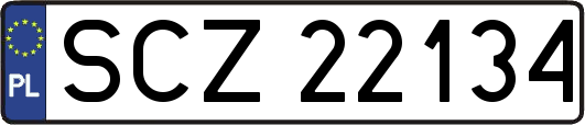 SCZ22134