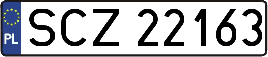 SCZ22163