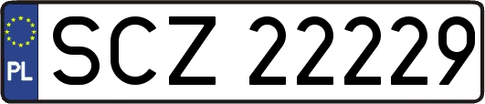 SCZ22229