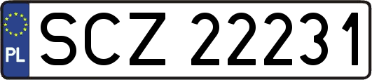 SCZ22231
