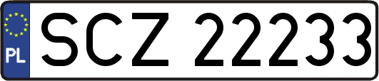 SCZ22233