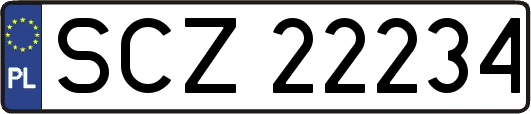 SCZ22234