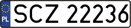 SCZ22236