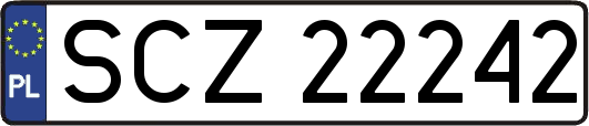 SCZ22242