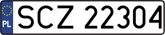SCZ22304