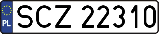 SCZ22310