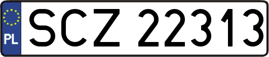 SCZ22313
