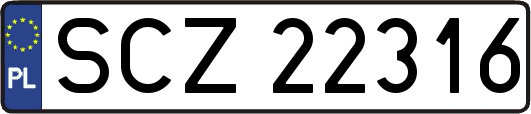 SCZ22316