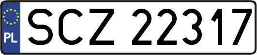 SCZ22317