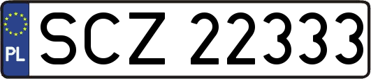 SCZ22333