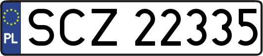 SCZ22335