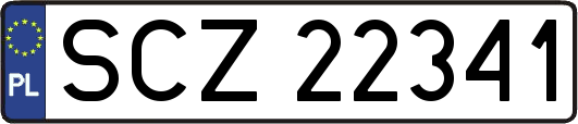 SCZ22341