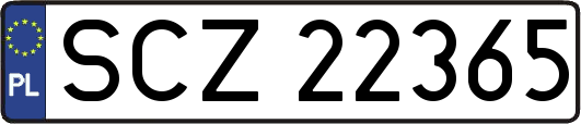SCZ22365