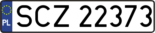 SCZ22373