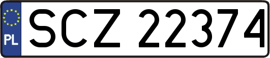 SCZ22374