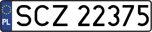SCZ22375