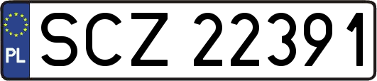 SCZ22391