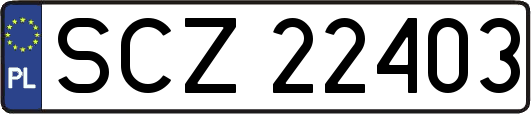 SCZ22403