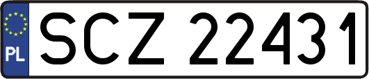 SCZ22431