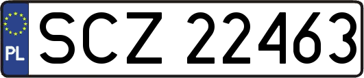 SCZ22463