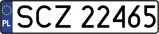 SCZ22465