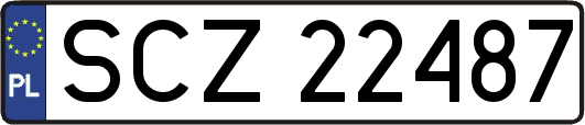 SCZ22487