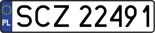 SCZ22491