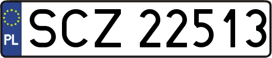 SCZ22513