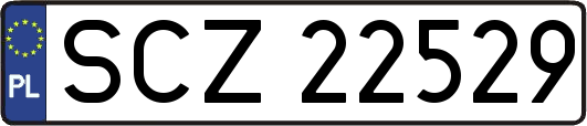 SCZ22529
