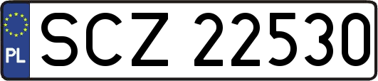 SCZ22530