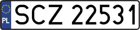 SCZ22531