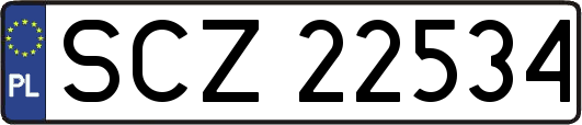 SCZ22534