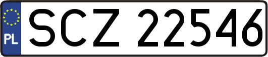 SCZ22546