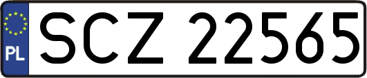 SCZ22565