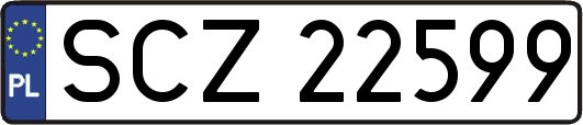 SCZ22599