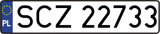 SCZ22733