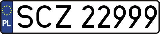 SCZ22999