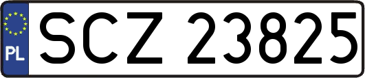 SCZ23825