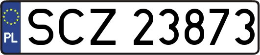 SCZ23873