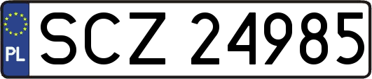 SCZ24985