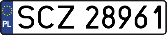 SCZ28961
