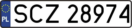 SCZ28974
