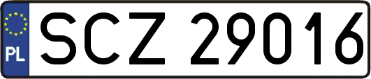 SCZ29016