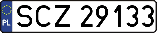 SCZ29133