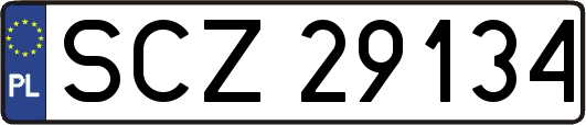 SCZ29134
